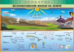 Таблица "Возникновение жизни на земле" (100х140 сантиметров, винил) - fgospostavki.ru - Махачкала
