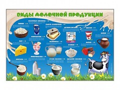 Электрифицированный стенд "Виды молочной продукции" - fgospostavki.ru - Махачкала