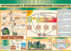 Таблица "Организация и функционирование сообществ" (100х140 сантиметров, винил) - fgospostavki.ru - Махачкала