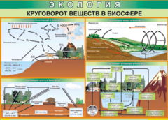 Таблица "Круговорот веществ в биосфере" (100х140 сантиметров, винил) - fgospostavki.ru - Махачкала