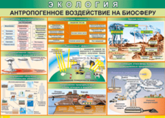 Таблица "Антропогенное воздействие на биосферу" (100х140 сантиметров, винил) - fgospostavki.ru - Махачкала