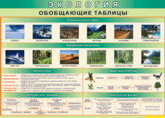 Таблица "Экология. Обобщающие таблицы" (100х140 сантиметров, винил) - fgospostavki.ru - Махачкала