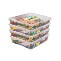 Набор для конструирования «Фанкластик: весь мир в руках твоих 4 (4-5 лет)» - fgospostavki.ru - Махачкала