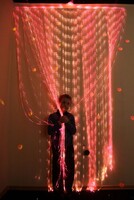 Мерцающий занавес в комплекте с источником света - fgospostavki.ru - Махачкала