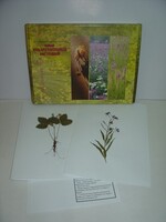 Гербарий "Лекарственные растения" (20 видов) - fgospostavki.ru - Махачкала