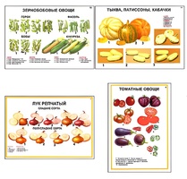 Плакаты ПРОФТЕХ "Ассортимент овощных культур" (12 пл, винил, 70х100) - fgospostavki.ru - Махачкала