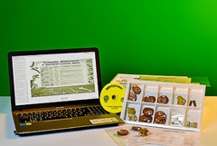 Коллекция натурально-интерактивная "Палеонтологическая" - fgospostavki.ru - Махачкала