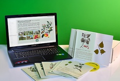 Гербарий натурально-интерактивный "Деревья и кустарники" - fgospostavki.ru - Махачкала