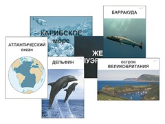 Модель-аппликация "Океаны. Знакомство" (ламинированная) - fgospostavki.ru - Махачкала