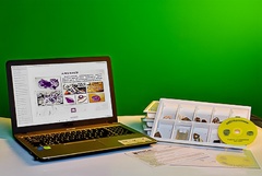 Коллекция натурально-интерактивная "Кварц в природе" - fgospostavki.ru - Махачкала