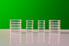 Набор чашек Петри - fgospostavki.ru - Махачкала