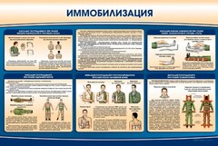 Стенд "Иммобилизация" - fgospostavki.ru - Махачкала