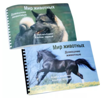 Пособие для слабовидящих - Домашние животные - fgospostavki.ru - Махачкала