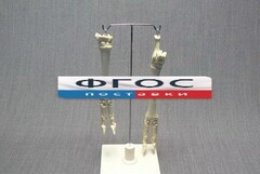 Скелет конечности овцы (передняя и задняя) на подставке - fgospostavki.ru - Махачкала