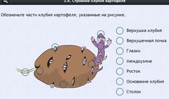 Интерактивные курсы. Биология 6 класс. Расширенный - fgospostavki.ru - Махачкала