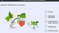 Интерактивные курсы. Биология 7 класс. Расширенный. - fgospostavki.ru - Махачкала