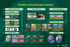 Электрифицированный стенд "Уровни организации жизни" - fgospostavki.ru - Махачкала