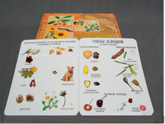 Коллекция "Семена и плоды" - fgospostavki.ru - Махачкала