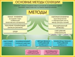 Стенд "Методы селекции и биотехнологии" - fgospostavki.ru - Махачкала