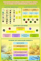 Стенд "Классификация животного мира" - fgospostavki.ru - Махачкала