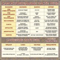 Стенд "Самостоятельные части речи" Вариант 2 - fgospostavki.ru - Махачкала