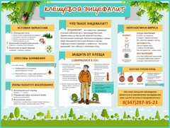 Стенд "Клещевой энцефалит" - fgospostavki.ru - Махачкала