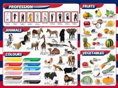 Стенд "Цвета, животные, профессии, фрукты, овощи" - fgospostavki.ru - Махачкала