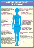 Стенд "Снятие мерок" Вариант 2 - fgospostavki.ru - Махачкала