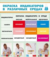 Стенд "Окраска индикаторов в различных средах" - fgospostavki.ru - Махачкала