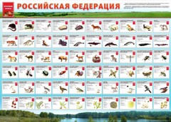 Стенд "Красная книга РФ" - fgospostavki.ru - Махачкала