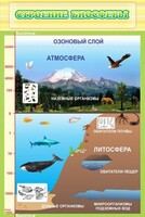 Стенд "Строение биосферы" - fgospostavki.ru - Махачкала