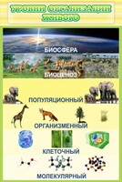 Стенд "Уровни организации живого" - fgospostavki.ru - Махачкала