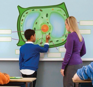 Интерактивное оборудование - fgospostavki.ru - Махачкала