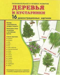Демонстрационные карточки "Деревья и кустарники" - fgospostavki.ru - Махачкала