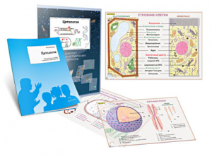 Комплект кодотранспарантов "Цитология" - fgospostavki.ru - Махачкала