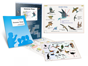 Комплект кодотранспарантов "Зоология. Птицы" - fgospostavki.ru - Махачкала