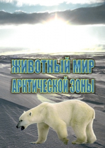 DVD "Животный мир Арктической зоны" - fgospostavki.ru - Махачкала