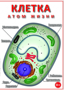 DVD "Клетка - "атом жизни" - fgospostavki.ru - Махачкала