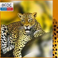 Зоология. (Цифровая база изображений) - fgospostavki.ru - Махачкала