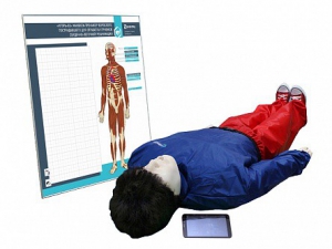 "Игорь-02" манекен-тренажер взрослого пострадавшего для отработки приемов сердечно-легочной реанимации (голова, туловище, конечности) с беспроводным планшетным компьютером и настенным анатомическим табло - fgospostavki.ru - Махачкала