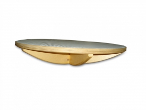 Балансир детский (круг) - fgospostavki.ru - Махачкала