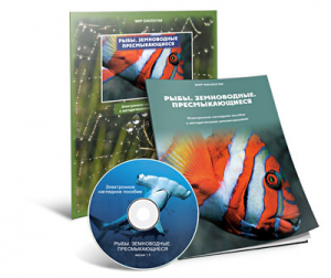 Электронное наглядное пособие «Рыбы. Земноводные. Пресмыкающиеся» - fgospostavki.ru - Махачкала