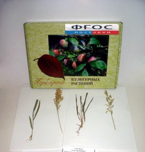 Гербарий "Культурные растения" (28 видов) - fgospostavki.ru - Махачкала