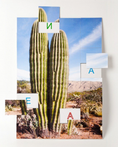 Магнитная орфография (безударные гласные, 1 класс) "Кактус" - fgospostavki.ru - Махачкала