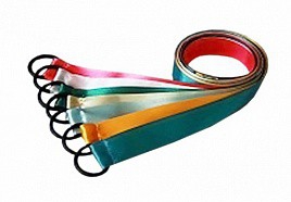 Лента гимнастическая на кольце (0,5 метра) - fgospostavki.ru - Махачкала