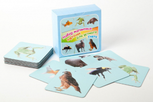 Набор магнитных карточек "Устный счет" (фон голубой) - fgospostavki.ru - Махачкала