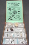Коллекция "Многообразие раковин моллюсков" - fgospostavki.ru - Махачкала