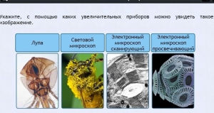 Интерактивные курсы. Биология 5 класс. Расширенный - fgospostavki.ru - Махачкала