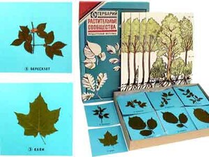 Гербарий "Растительные сообщества" - fgospostavki.ru - Махачкала