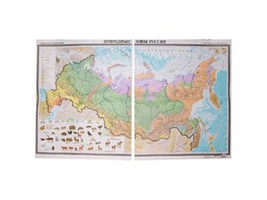 Учебная карта "Природные зоны России"  - fgospostavki.ru - Махачкала